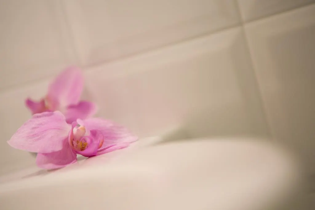 לינה וארוחת בוקר Longiano B&B Casa Dei Grilli